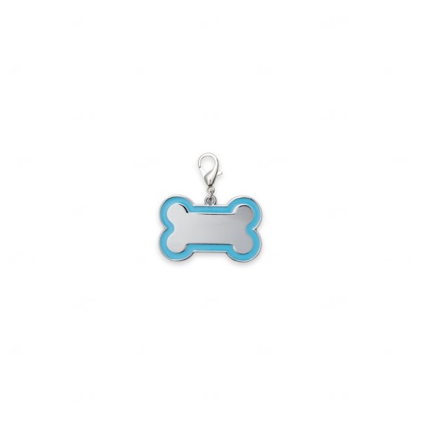 Chaveiro Metálico para Pets Personalizado 